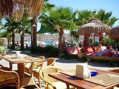 Отель Sun Club Gumbet 3*